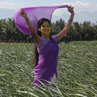 Maidhanam movie  Stills | Picture 39010